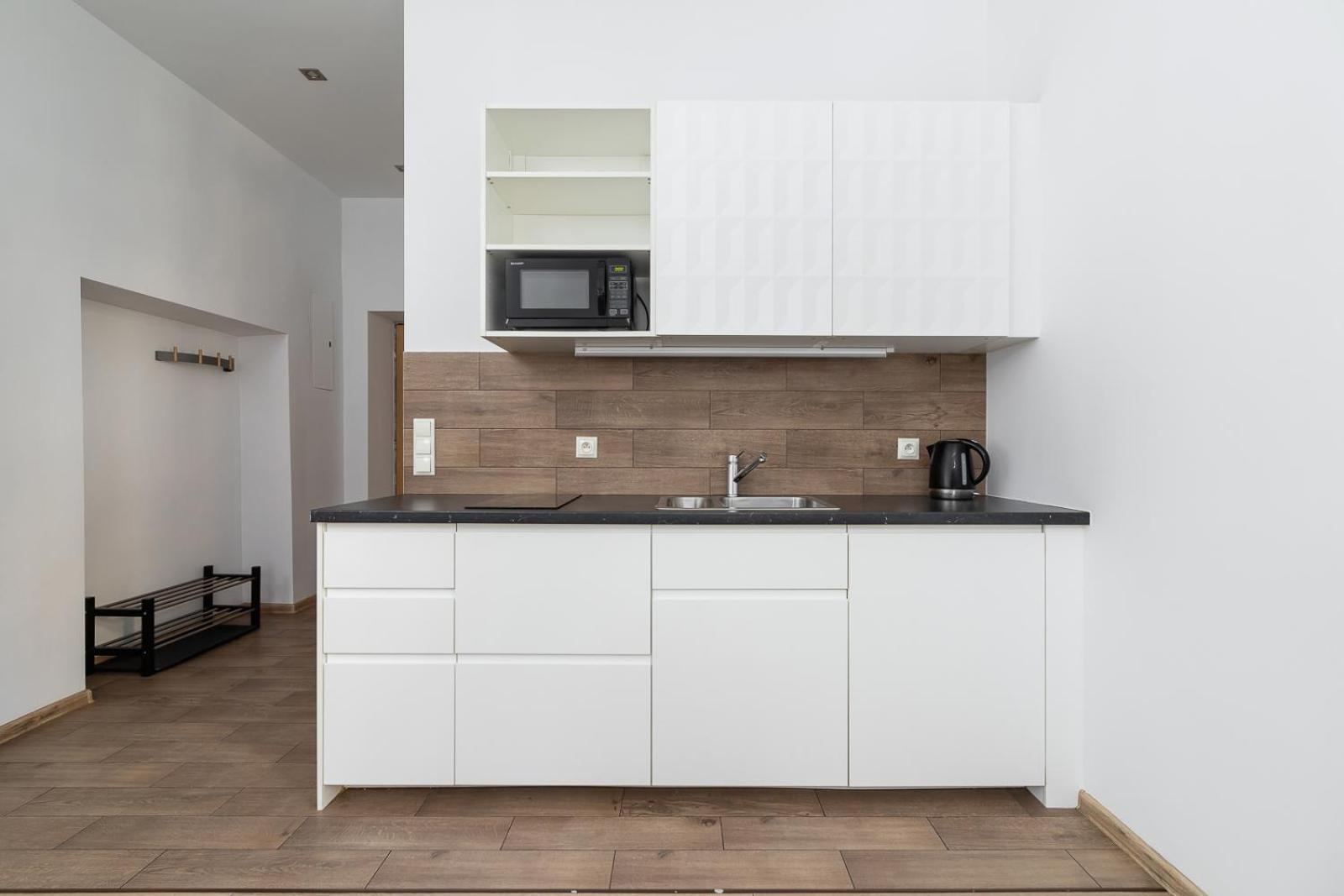 Apartament 1 Bedroom - Ludwika Zamenhofa 6 Street